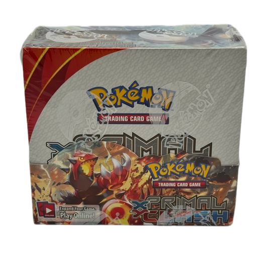 XY Primal Clash Pokemon Booster Box